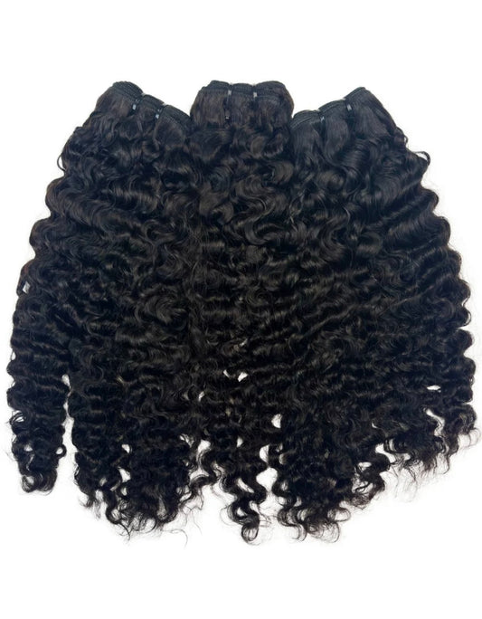 BURMESE CURLY