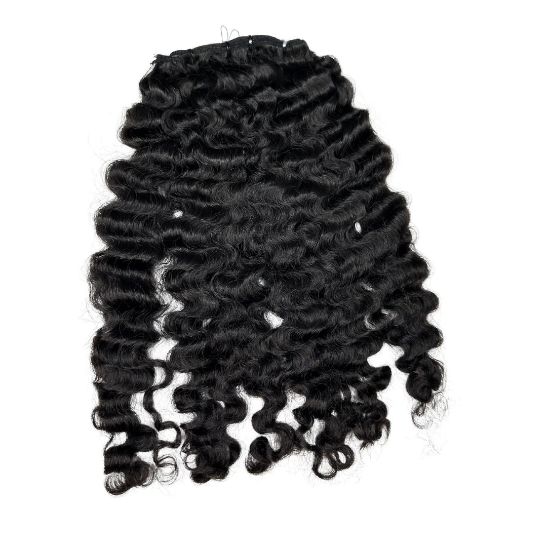 BURMESE CURLY