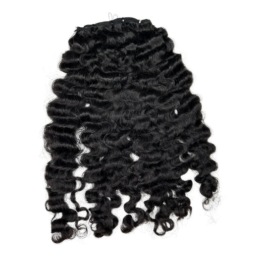 BURMESE CURLY